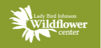 Lady Bird Johnson Wildflower