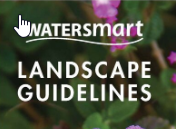 Landscape Guidelines